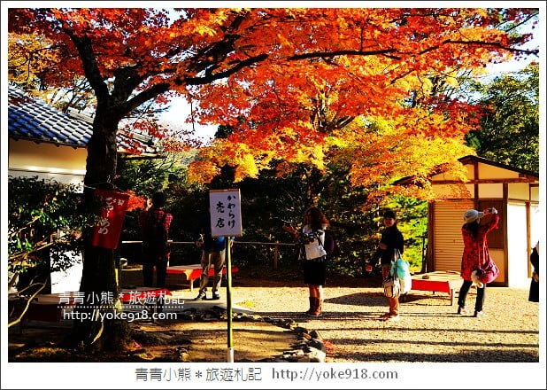 京都賞楓景點》高雄神護寺/西明寺.秋日必訪京都賞楓名所 @青青小熊*旅遊札記 京都賞楓景點》高雄神護寺/西明寺.秋日必訪京都賞楓名所 @青青小熊*旅遊札記