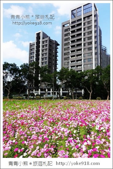 龍潭花海》桃園一日遊.遇見超大片的波斯菊花海~賞花去 @青青小熊*旅遊札記 龍潭花海》桃園一日遊.遇見超大片的波斯菊花海~賞花去 @青青小熊*旅遊札記