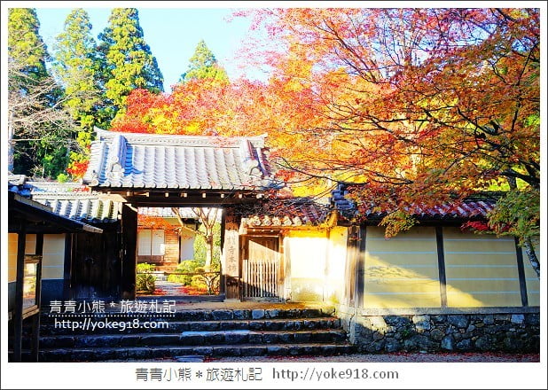 京都賞楓景點》高雄神護寺/西明寺.秋日必訪京都賞楓名所 @青青小熊*旅遊札記 京都賞楓景點》高雄神護寺/西明寺.秋日必訪京都賞楓名所 @青青小熊*旅遊札記