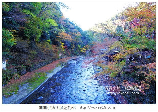 京都賞楓景點》高雄神護寺/西明寺.秋日必訪京都賞楓名所 @青青小熊*旅遊札記 京都賞楓景點》高雄神護寺/西明寺.秋日必訪京都賞楓名所 @青青小熊*旅遊札記
