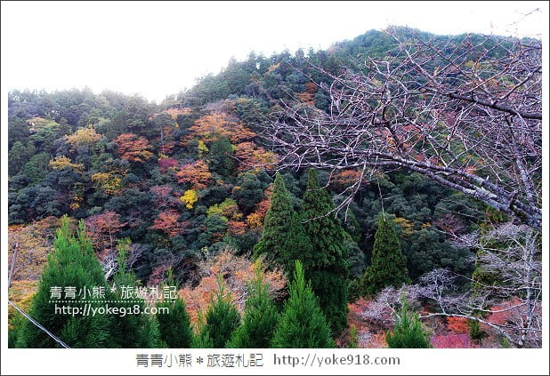 京都賞楓景點》高雄神護寺/西明寺.秋日必訪京都賞楓名所 @青青小熊*旅遊札記 京都賞楓景點》高雄神護寺/西明寺.秋日必訪京都賞楓名所 @青青小熊*旅遊札記