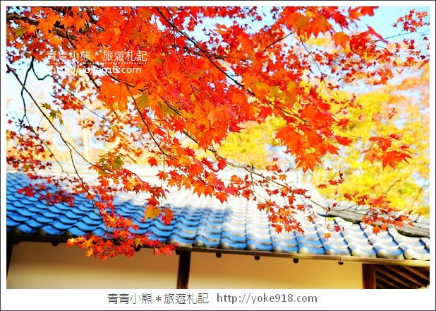 京都賞楓景點》高雄神護寺/西明寺.秋日必訪京都賞楓名所 @青青小熊*旅遊札記 京都賞楓景點》高雄神護寺/西明寺.秋日必訪京都賞楓名所 @青青小熊*旅遊札記