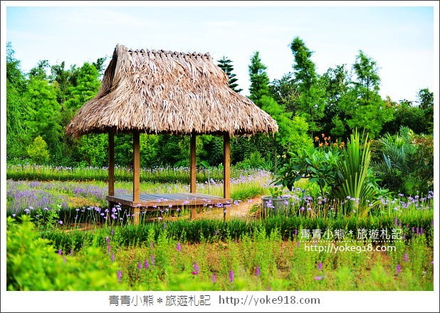 桃園觀音景點》莫內的花園景觀餐廳.彷彿走進莫內的畫作 @青青小熊*旅遊札記 桃園觀音景點》莫內的花園景觀餐廳.彷彿走進莫內的畫作 @青青小熊*旅遊札記