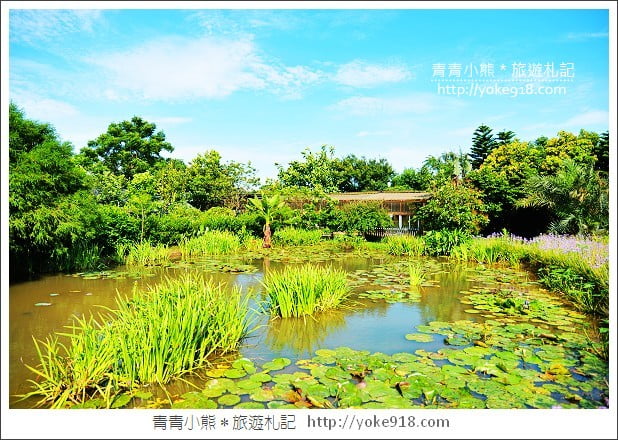 桃園觀音景點》莫內的花園景觀餐廳.彷彿走進莫內的畫作 @青青小熊*旅遊札記 桃園觀音景點》莫內的花園景觀餐廳.彷彿走進莫內的畫作 @青青小熊*旅遊札記