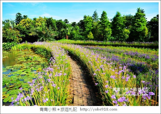 桃園觀音景點》莫內的花園景觀餐廳.彷彿走進莫內的畫作 @青青小熊*旅遊札記 桃園觀音景點》莫內的花園景觀餐廳.彷彿走進莫內的畫作 @青青小熊*旅遊札記