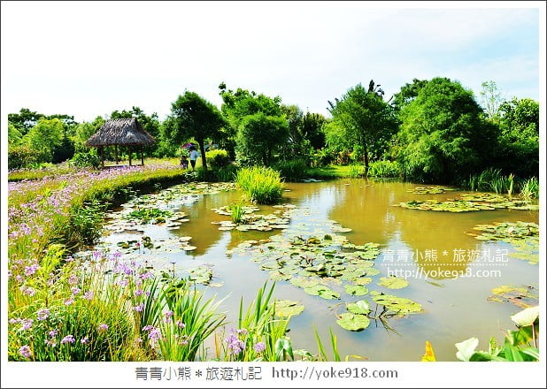 桃園觀音景點》莫內的花園景觀餐廳.彷彿走進莫內的畫作 @青青小熊*旅遊札記 桃園觀音景點》莫內的花園景觀餐廳.彷彿走進莫內的畫作 @青青小熊*旅遊札記