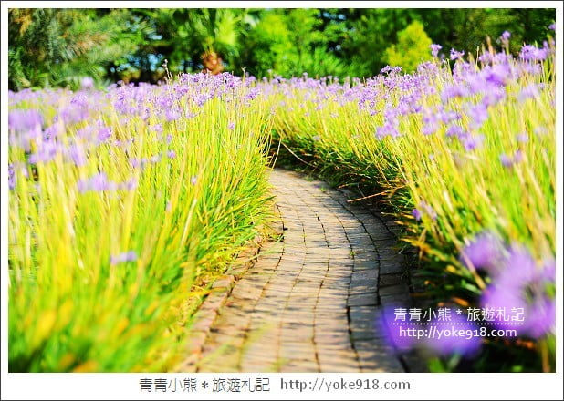 桃園觀音景點》莫內的花園景觀餐廳．彷彿走進莫內的畫作 @青青小熊＊旅遊札記