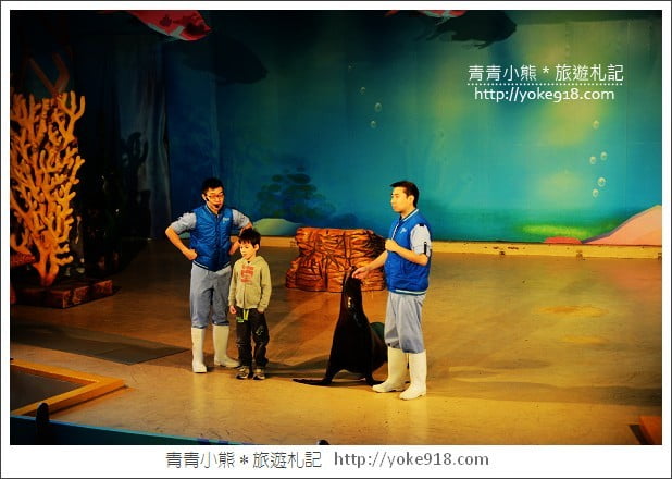 香港必玩景點》香港海洋公園~親子同遊/充滿歡樂的樂園 @青青小熊*旅遊札記 香港必玩景點》香港海洋公園~親子同遊/充滿歡樂的樂園 @青青小熊*旅遊札記