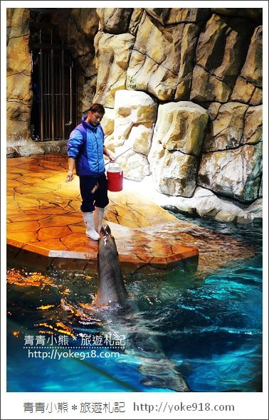 香港必玩景點》香港海洋公園~親子同遊/充滿歡樂的樂園 @青青小熊＊旅遊札記