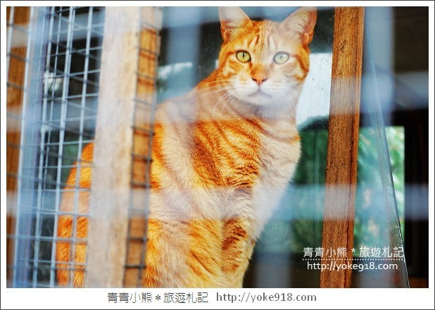 埔里餐廳》南投黛安娜花園.充滿歐風的小木屋用餐去 @青青小熊*旅遊札記