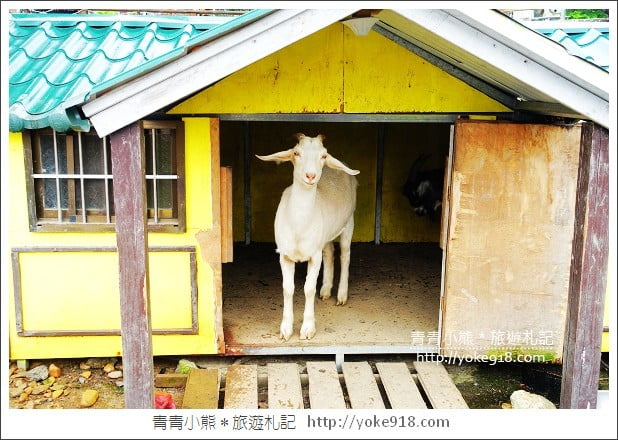 埔里餐廳》南投黛安娜花園．充滿歐風的小木屋用餐去 @青青小熊＊旅遊札記