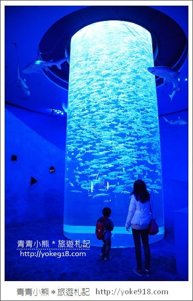 香港必玩景點》香港海洋公園~親子同遊/充滿歡樂的樂園 @青青小熊*旅遊札記 香港必玩景點》香港海洋公園~親子同遊/充滿歡樂的樂園 @青青小熊*旅遊札記