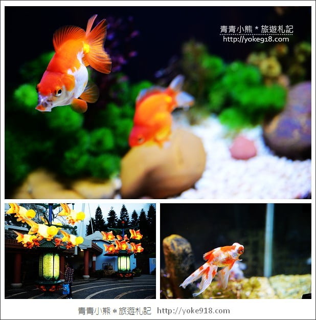 香港必玩景點》香港海洋公園~親子同遊/充滿歡樂的樂園 @青青小熊*旅遊札記 香港必玩景點》香港海洋公園~親子同遊/充滿歡樂的樂園 @青青小熊*旅遊札記