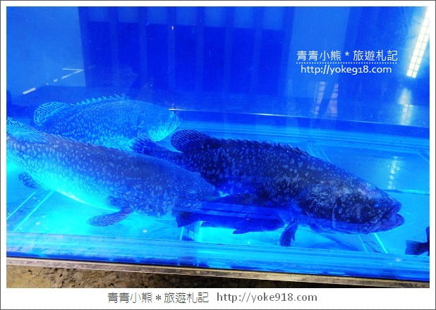 桃園美食餐廳》龍膽料亭．無菜單日式料理~聚餐的好所在 @青青小熊＊旅遊札記