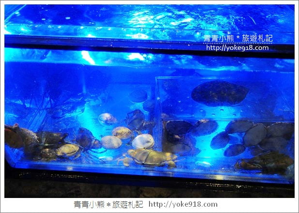 桃園美食餐廳》龍膽料亭.無菜單日式料理~聚餐的好所在 @青青小熊*旅遊札記 桃園美食餐廳》龍膽料亭.無菜單日式料理~聚餐的好所在 @青青小熊*旅遊札記