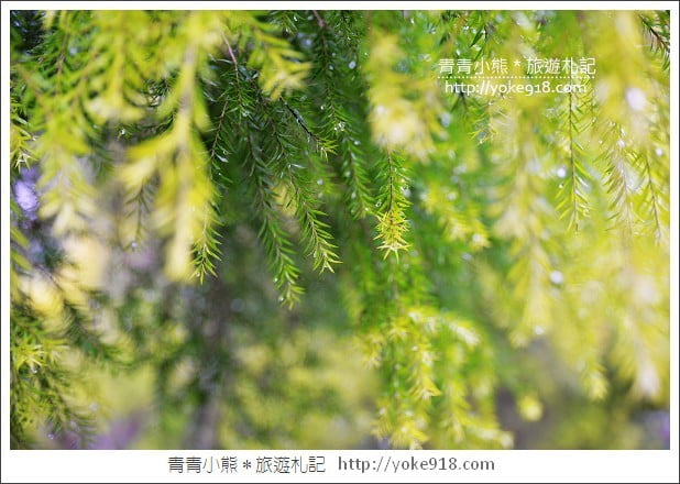 南投住宿》讚美之泉心靈城堡．遠離塵囂~南投親子友善民宿 @青青小熊＊旅遊札記