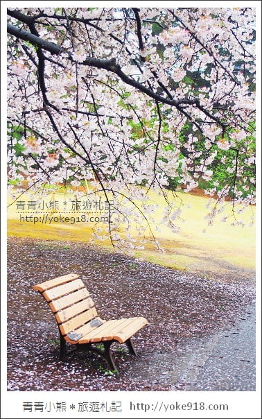 東京賞櫻景點推薦》新宿御苑．漫步櫻花樹下~東京必去賞櫻景點 @青青小熊＊旅遊札記