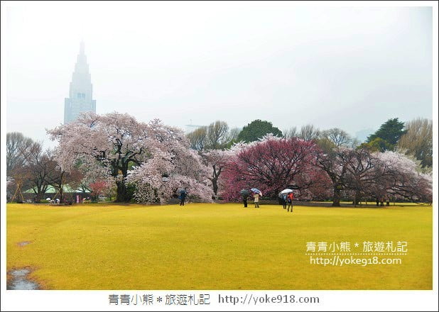 東京賞櫻景點推薦》新宿御苑.漫步櫻花樹下~東京必去賞櫻景點 @青青小熊*旅遊札記 東京賞櫻景點推薦》新宿御苑.漫步櫻花樹下~東京必去賞櫻景點 @青青小熊*旅遊札記