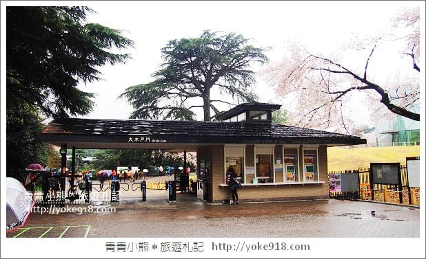 東京賞櫻景點推薦》新宿御苑.漫步櫻花樹下~東京必去賞櫻景點 @青青小熊*旅遊札記 東京賞櫻景點推薦》新宿御苑.漫步櫻花樹下~東京必去賞櫻景點 @青青小熊*旅遊札記