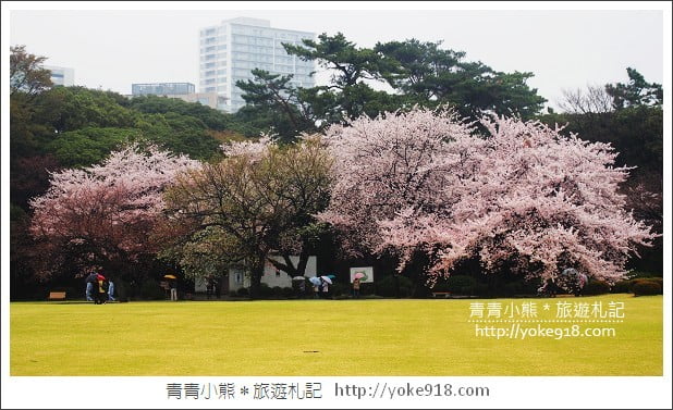 東京賞櫻景點推薦》新宿御苑.漫步櫻花樹下~東京必去賞櫻景點 @青青小熊*旅遊札記 東京賞櫻景點推薦》新宿御苑.漫步櫻花樹下~東京必去賞櫻景點 @青青小熊*旅遊札記