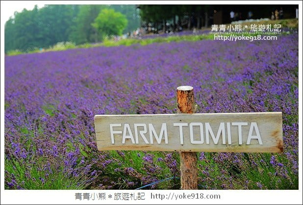 日本自由行》海外旅遊必備Visa信用卡.Visa金融卡.輕鬆買輕鬆享優惠 @青青小熊*旅遊札記 日本自由行》海外旅遊必備Visa信用卡.Visa金融卡.輕鬆買輕鬆享優惠 @青青小熊*旅遊札記