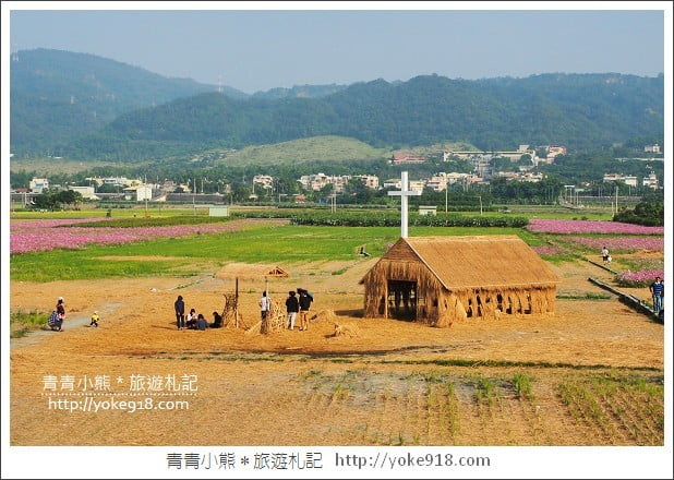 彰化田中花海》一大片的波斯菊花海超壯觀．彰化期間限定景點 @青青小熊＊旅遊札記