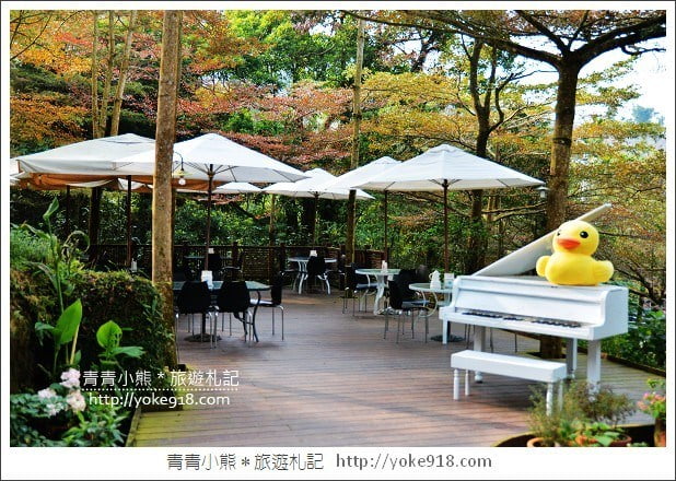 台中賞櫻景點》新社興社街賞櫻秘境．粉紅的富士櫻爆滿盛開中 @青青小熊＊旅遊札記