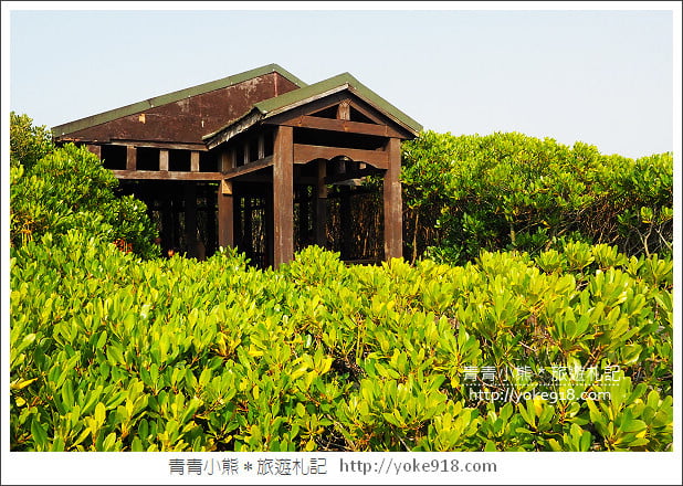 新竹景點》新竹一日遊哪裡好玩?親子.戶外.情侶約會景點推薦~來新竹就這樣玩 @青青小熊*旅遊札記 新竹景點》新竹一日遊哪裡好玩?親子.戶外.情侶約會景點推薦~來新竹就這樣玩 @青青小熊*旅遊札記