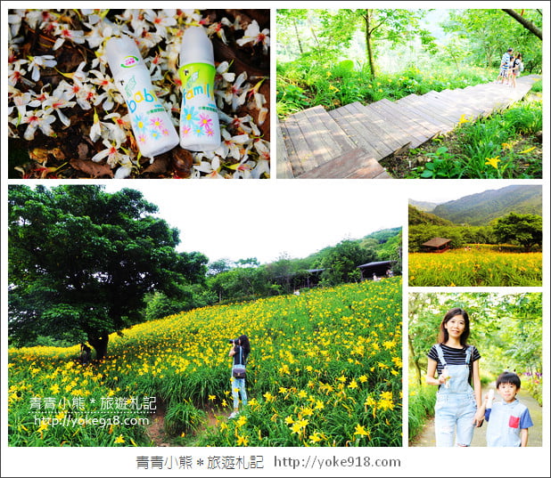 夏日旅遊防蚊大作戰》叮寧天然有機精油.小黑蚊剋星~出遊不掃興 @青青小熊*旅遊札記 夏日旅遊防蚊大作戰》叮寧天然有機精油.小黑蚊剋星~出遊不掃興 @青青小熊*旅遊札記