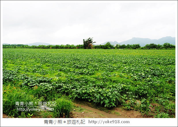 豆油伯純釀醬油》屏東工廠參訪‧金美好/金美滿/甘田醬油~主婦必備 @青青小熊＊旅遊札記