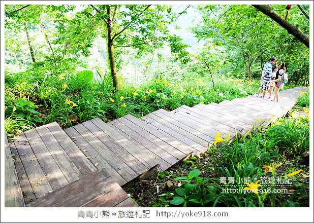 夏日旅遊防蚊大作戰》叮寧天然有機精油.小黑蚊剋星~出遊不掃興 @青青小熊*旅遊札記 夏日旅遊防蚊大作戰》叮寧天然有機精油.小黑蚊剋星~出遊不掃興 @青青小熊*旅遊札記