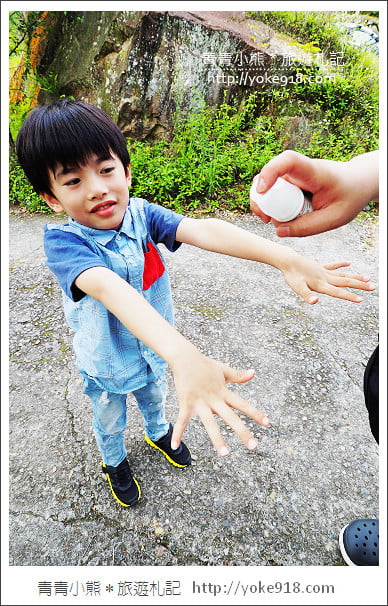 夏日旅遊防蚊大作戰》叮寧天然有機精油.小黑蚊剋星~出遊不掃興 @青青小熊*旅遊札記 夏日旅遊防蚊大作戰》叮寧天然有機精油.小黑蚊剋星~出遊不掃興 @青青小熊*旅遊札記
