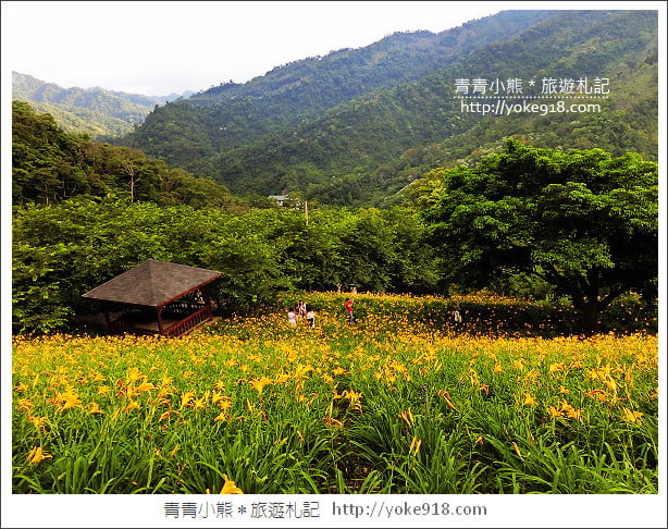 夏日旅遊防蚊大作戰》叮寧天然有機精油．小黑蚊剋星~出遊不掃興 @青青小熊＊旅遊札記
