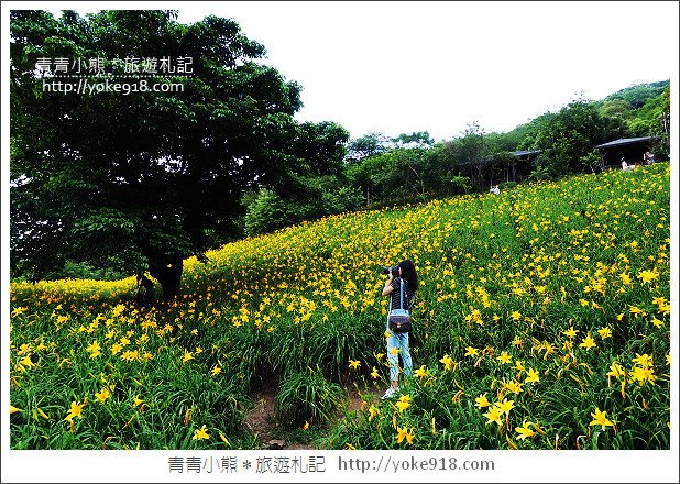 夏日旅遊防蚊大作戰》叮寧天然有機精油.小黑蚊剋星~出遊不掃興 @青青小熊*旅遊札記 夏日旅遊防蚊大作戰》叮寧天然有機精油.小黑蚊剋星~出遊不掃興 @青青小熊*旅遊札記