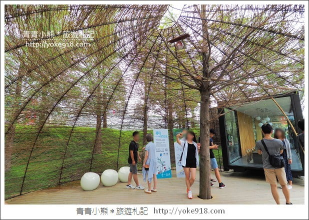 台中新景點》惠宇秘境 一森青．城市中迷人的森林水景 @青青小熊＊旅遊札記
