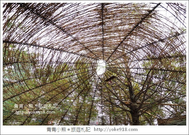台中新景點》惠宇秘境 一森青.城市中迷人的森林水景 @青青小熊*旅遊札記 台中新景點》惠宇秘境 一森青.城市中迷人的森林水景 @青青小熊*旅遊札記