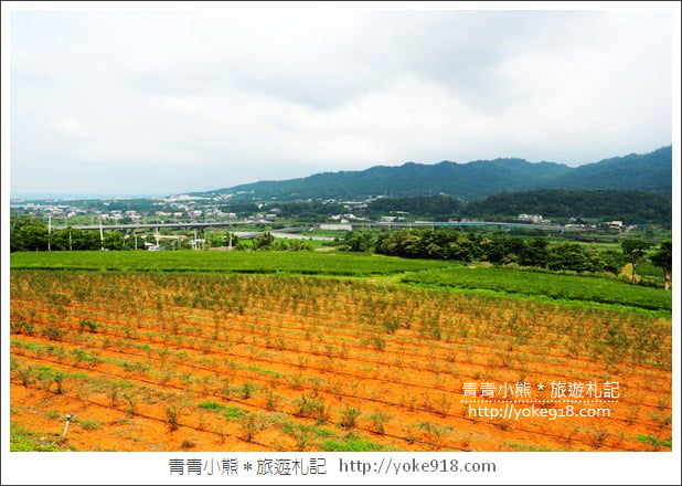 苗栗銅鑼景點》銅鑼茶廠觀光工廠.喝茶賞景~體驗茶文化 @青青小熊*旅遊札記 苗栗銅鑼景點》銅鑼茶廠觀光工廠.喝茶賞景~體驗茶文化 @青青小熊*旅遊札記