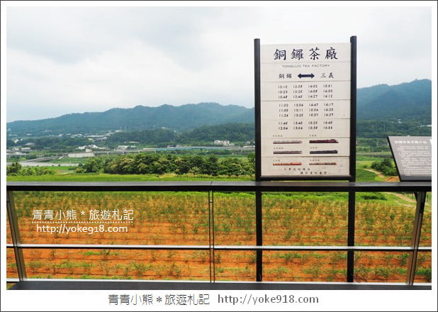 苗栗銅鑼景點》銅鑼茶廠觀光工廠．喝茶賞景~體驗茶文化 @青青小熊＊旅遊札記