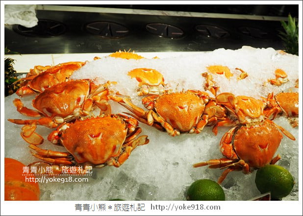 台北吃到飽餐廳》豐FOOD海陸百匯.上百種異國美食吃到飽 @青青小熊*旅遊札記 台北吃到飽餐廳》豐FOOD海陸百匯.上百種異國美食吃到飽 @青青小熊*旅遊札記