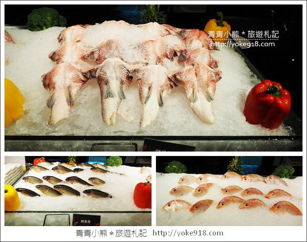 台北吃到飽餐廳》豐FOOD海陸百匯.上百種異國美食吃到飽 @青青小熊*旅遊札記 台北吃到飽餐廳》豐FOOD海陸百匯.上百種異國美食吃到飽 @青青小熊*旅遊札記