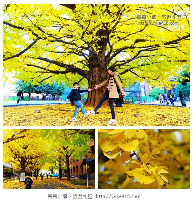 東京賞楓推薦》東京賞楓葉、賞銀杏、燈飾必去景點．從早玩到晚行程推薦 @青青小熊＊旅遊札記