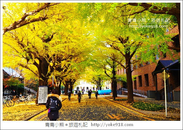 東京賞楓推薦》東京賞楓葉、賞銀杏、燈飾必去景點.從早玩到晚行程推薦 @青青小熊*旅遊札記 東京賞楓推薦》東京賞楓葉、賞銀杏、燈飾必去景點.從早玩到晚行程推薦 @青青小熊*旅遊札記