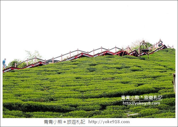 嘉義梅山景點》梅山一日遊怎麼玩？情侶.親子必玩景點~梅山路線行程推薦 @青青小熊＊旅遊札記