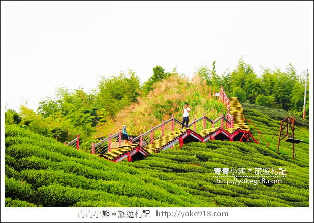 嘉義景點二日遊》美食、景點，阿里山精品咖啡一網打盡~來嘉義就這樣玩 @青青小熊＊旅遊札記