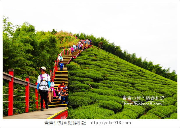嘉義梅山景點》梅山一日遊怎麼玩？情侶.親子必玩景點~梅山路線行程推薦 @青青小熊＊旅遊札記