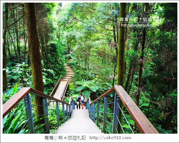 台中新社景觀餐廳》薰衣草森林新社店．森林旋轉木馬~浪漫約會景點 @青青小熊＊旅遊札記