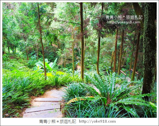 台中新社景觀餐廳》薰衣草森林新社店．森林旋轉木馬~浪漫約會景點 @青青小熊＊旅遊札記