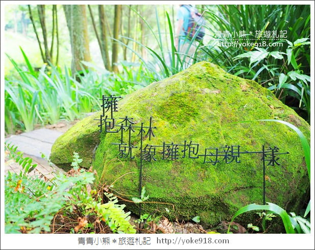 台中新社景觀餐廳》薰衣草森林新社店．森林旋轉木馬~浪漫約會景點 @青青小熊＊旅遊札記