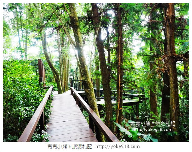 台中新社景觀餐廳》薰衣草森林新社店．森林旋轉木馬~浪漫約會景點 @青青小熊＊旅遊札記