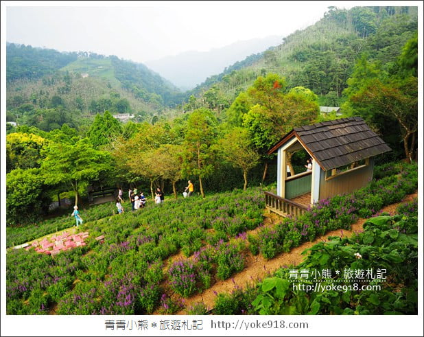 台中新社景觀餐廳》薰衣草森林新社店．森林旋轉木馬~浪漫約會景點 @青青小熊＊旅遊札記